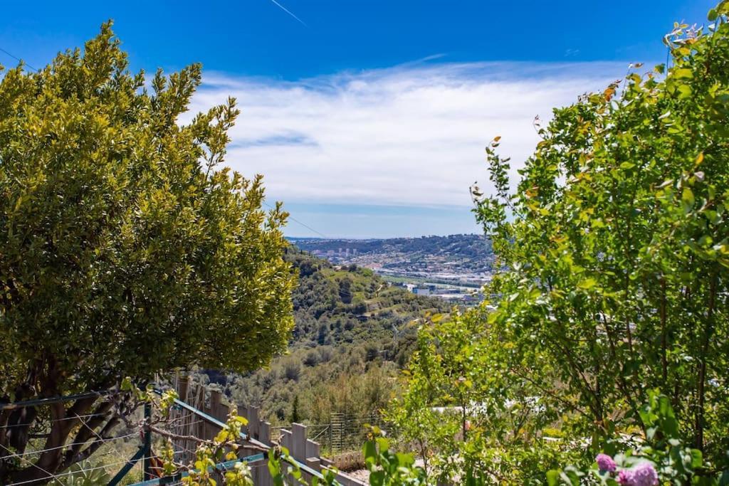 Echapee Belle - Vinayard View - Jacuzzi Bbq - Parking Appartement Nice